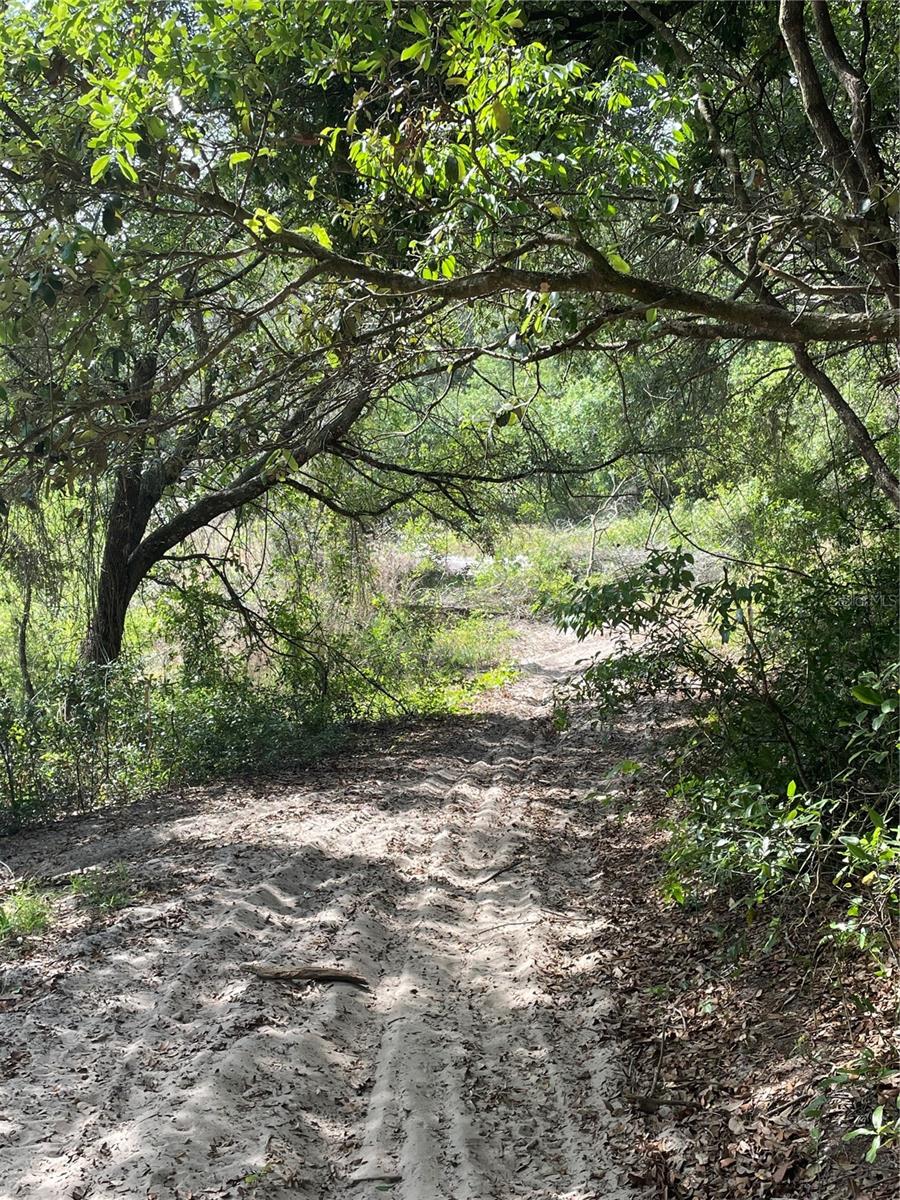 REDBUD RD, LADY LAKE, FL, 32159