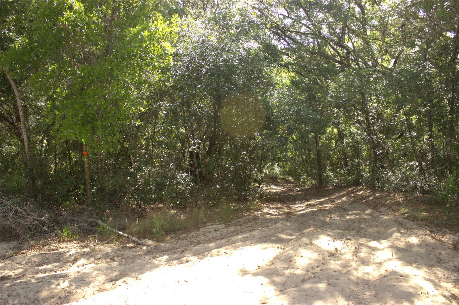 REDBUD RD, LADY LAKE, FL, 32159