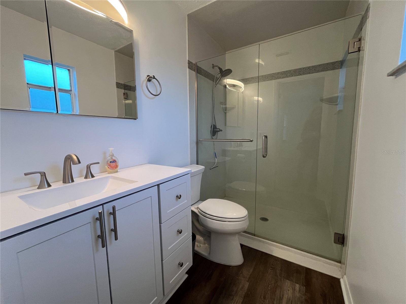 407 POINSETTIA AVE, FRUITLAND PARK, FL, 34731