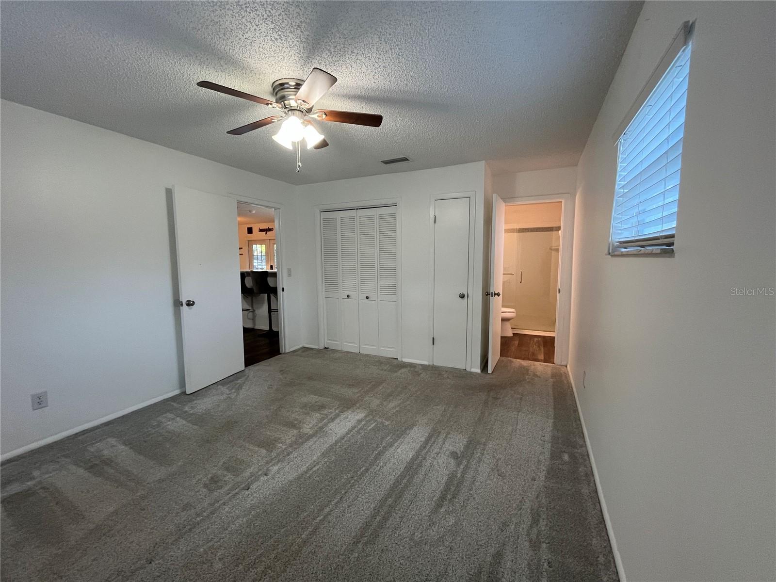 407 POINSETTIA AVE, FRUITLAND PARK, FL, 34731