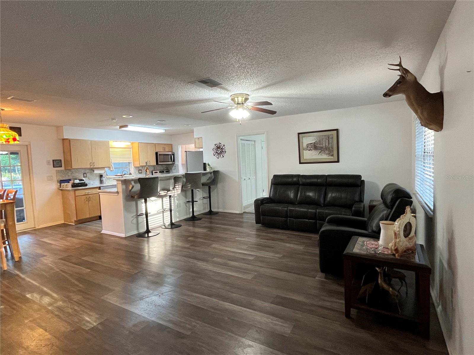 407 POINSETTIA AVE, FRUITLAND PARK, FL, 34731