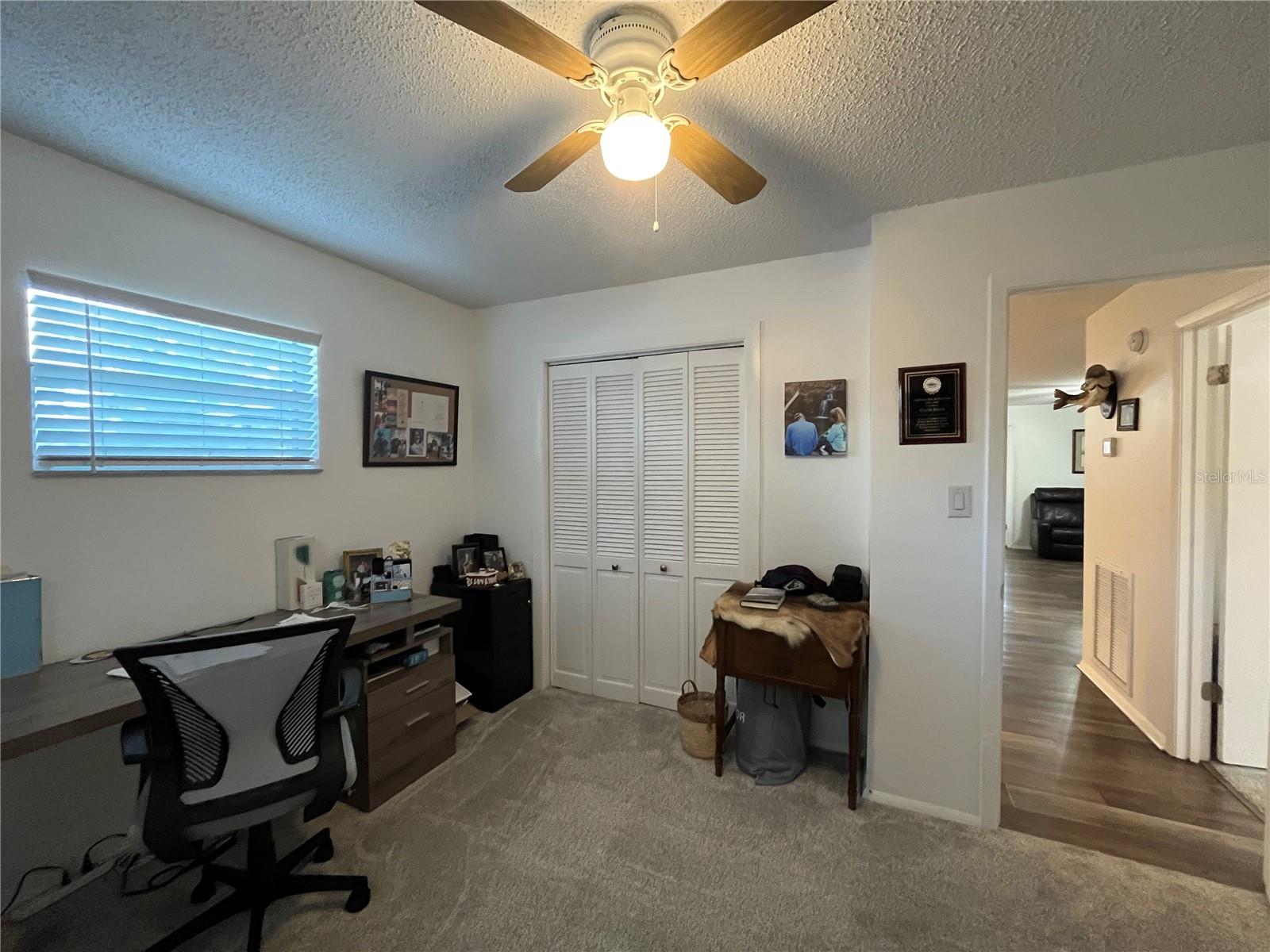 407 POINSETTIA AVE, FRUITLAND PARK, FL, 34731