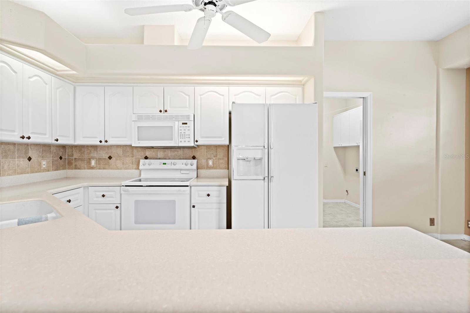 15028 MIDDLE FAIRWAY DR, SPRING HILL, FL, 34609