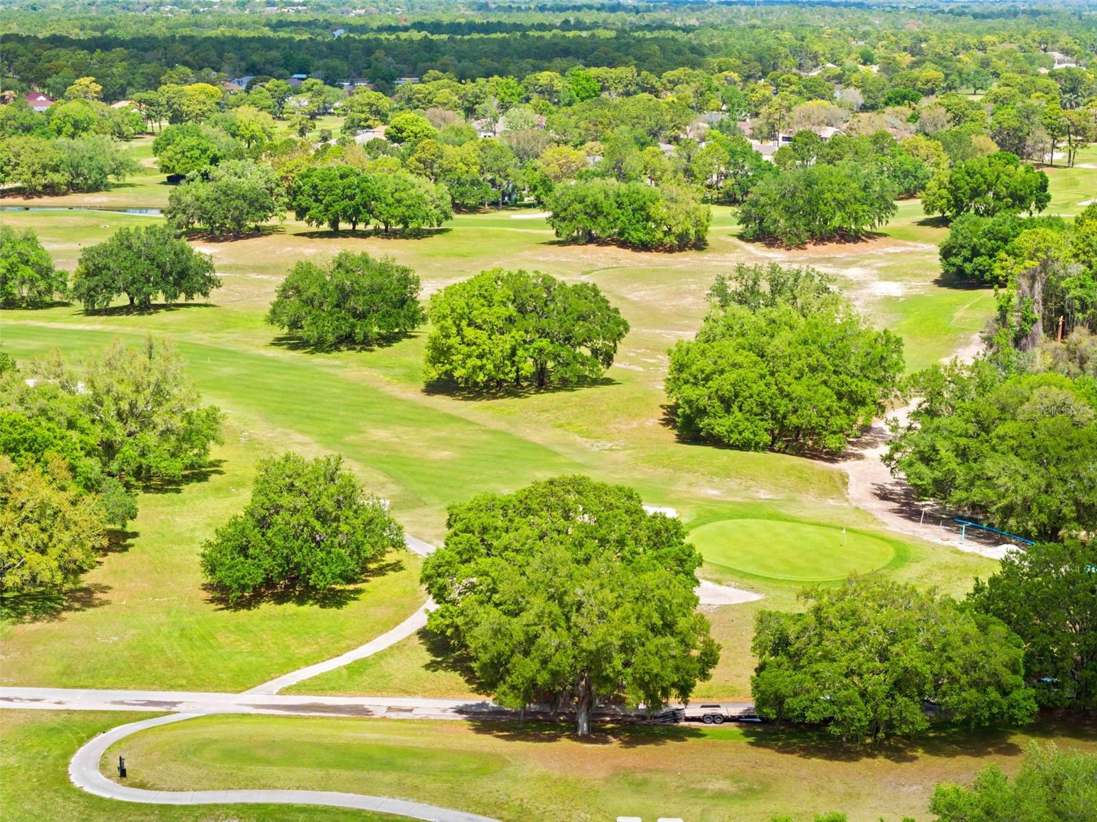 15028 MIDDLE FAIRWAY DR, SPRING HILL, FL, 34609