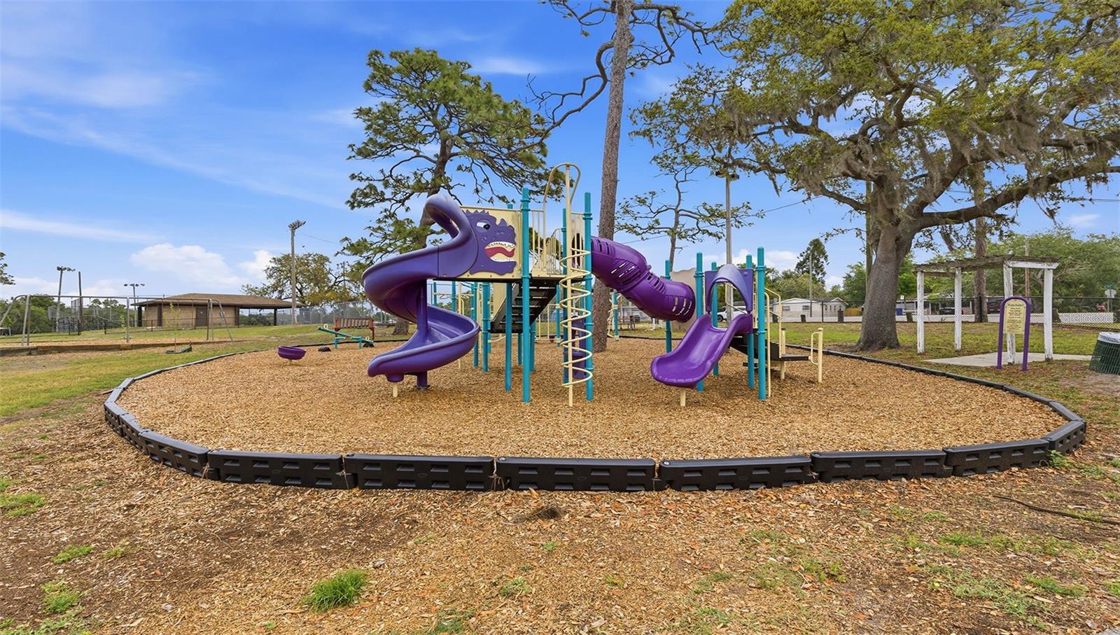 8315 N 37TH ST, TAMPA, FL, 33604