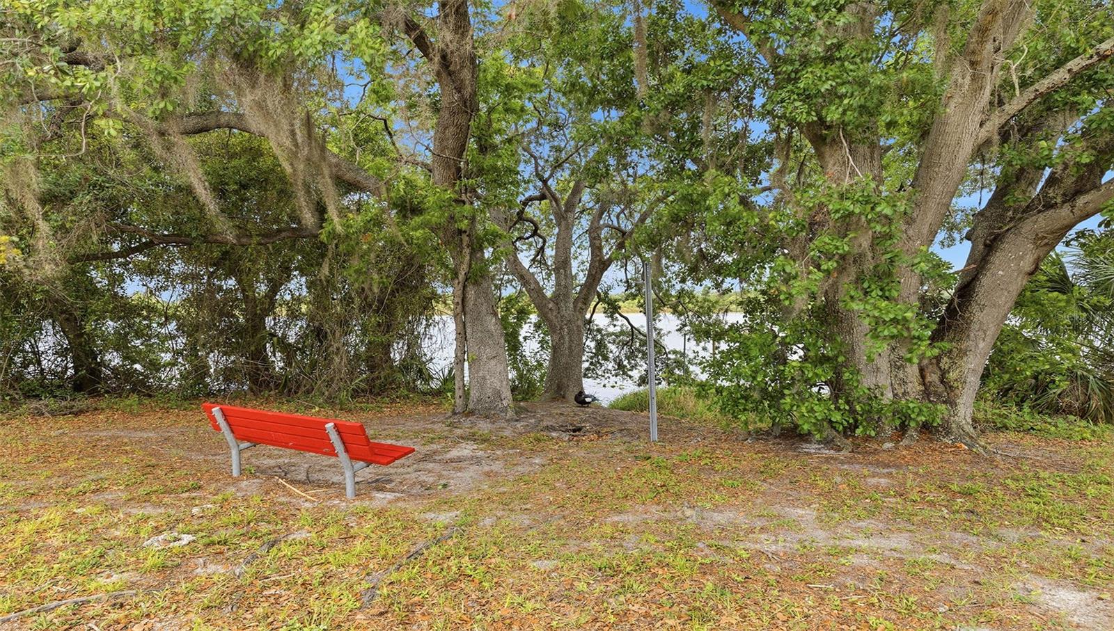 8315 N 37TH ST, TAMPA, FL, 33604