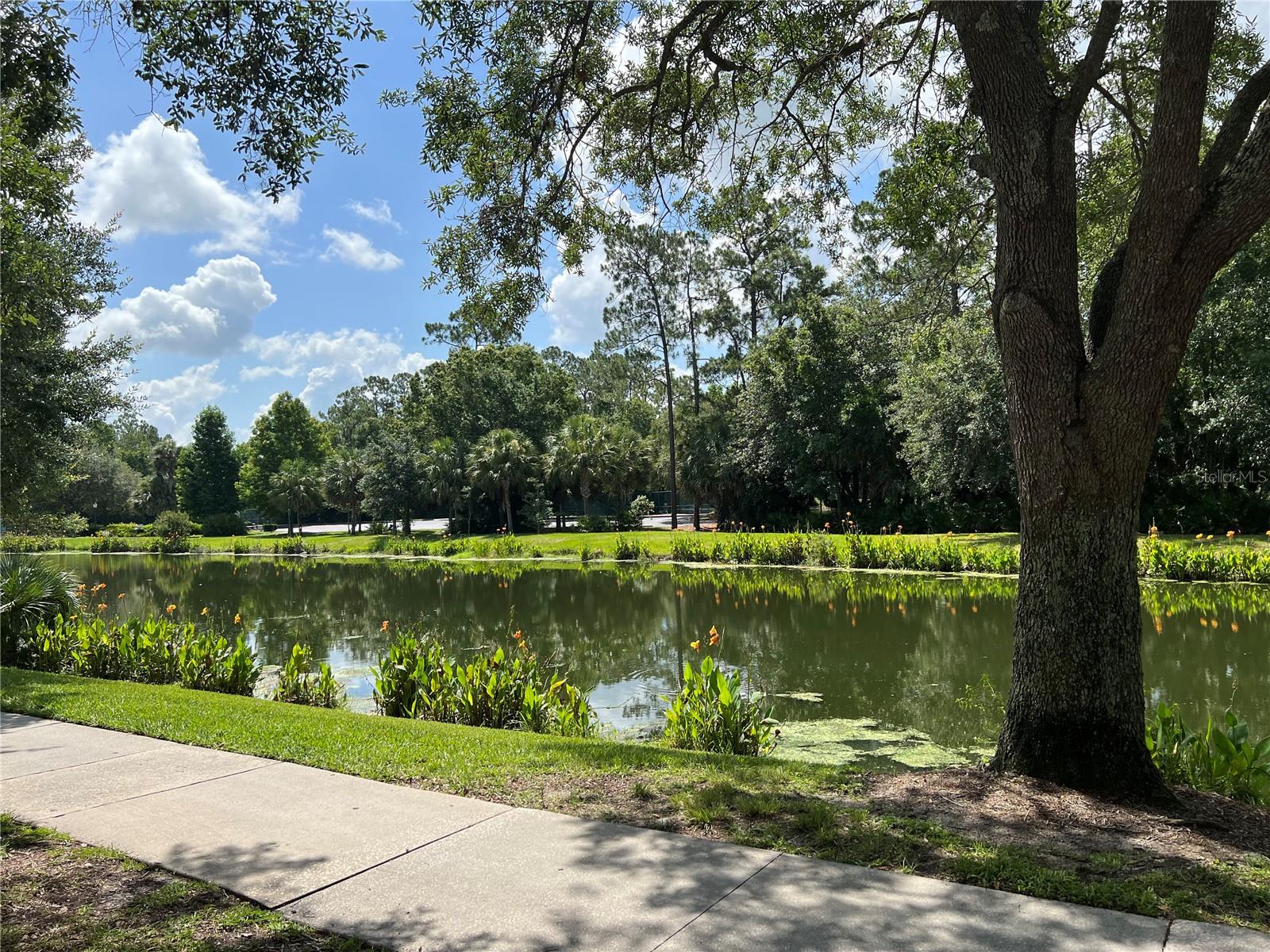 619 FRONT ST #3104, CELEBRATION, FL, 34747