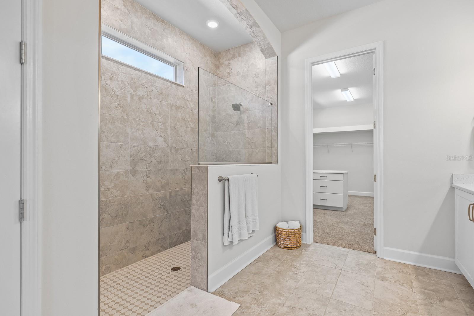 13930 NATURES RESERVE DR, LITHIA, FL, 33547