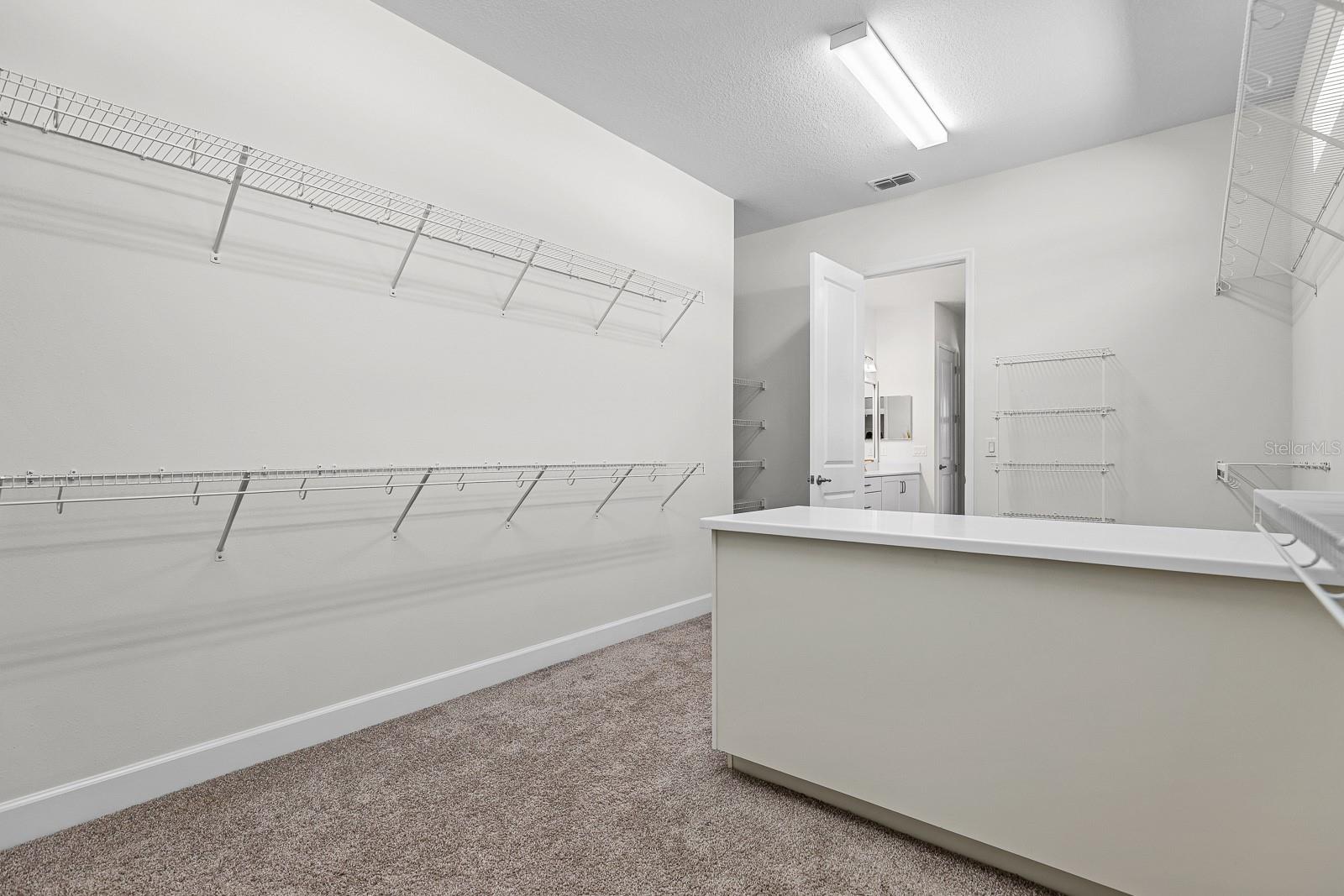 13930 NATURES RESERVE DR, LITHIA, FL, 33547