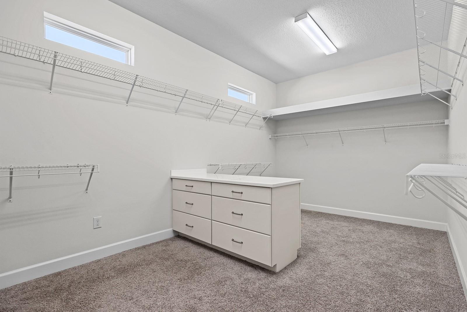 13930 NATURES RESERVE DR, LITHIA, FL, 33547