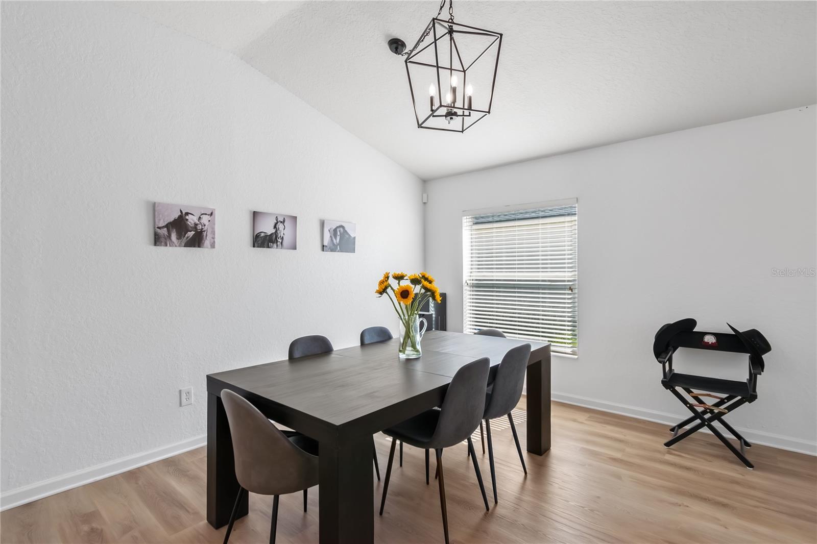 4923 SW 40TH LN, OCALA, FL, 34474