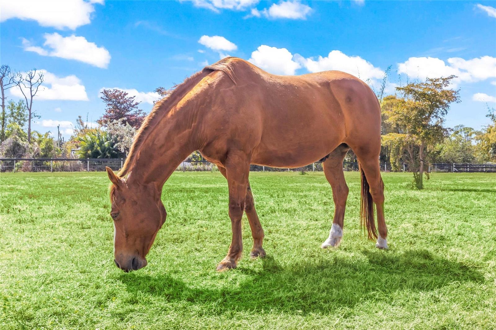 6050 STRINGFELLOW RD, ST JAMES CITY, FL, 33956