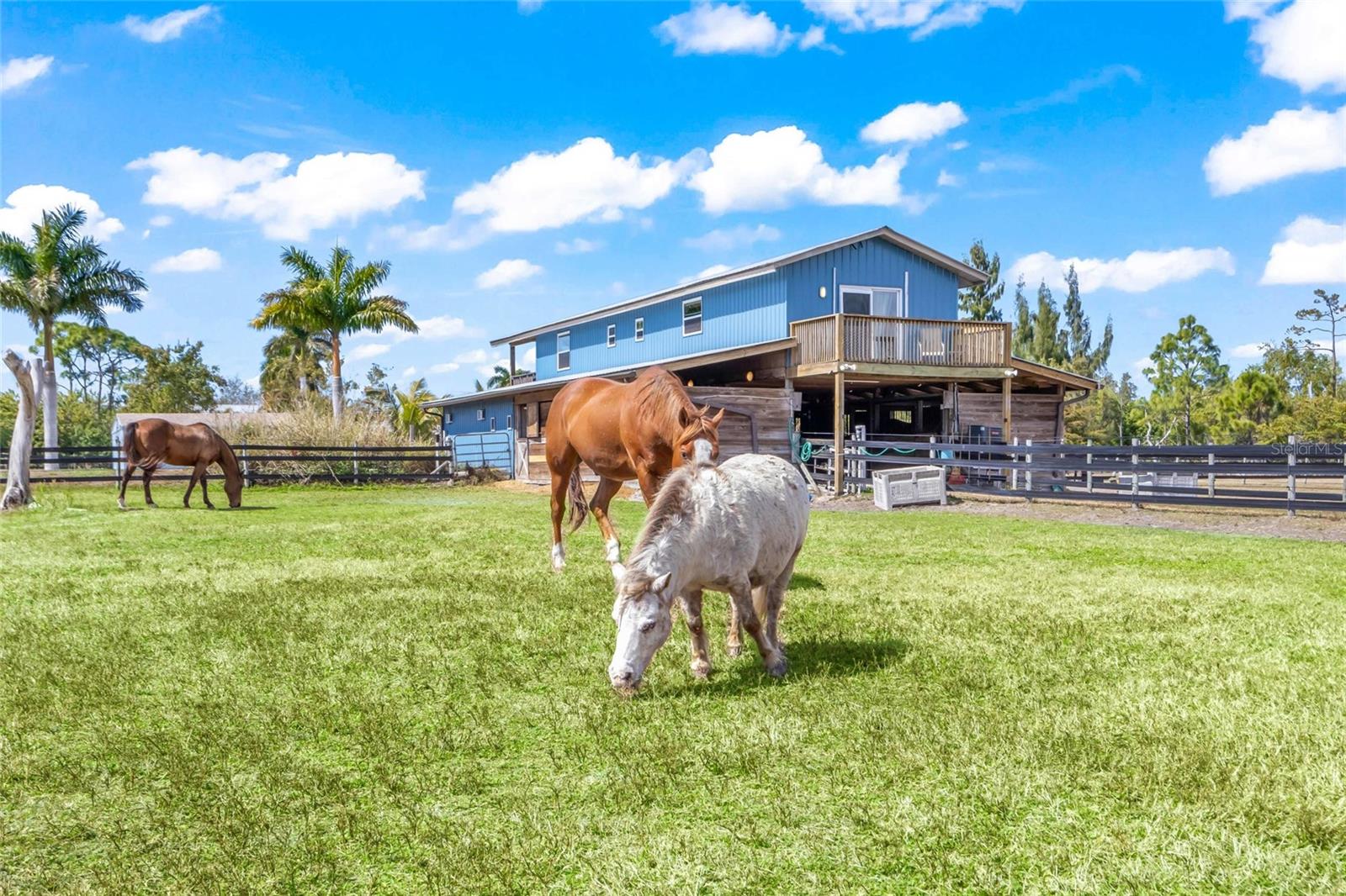 6050 STRINGFELLOW RD, ST JAMES CITY, FL, 33956