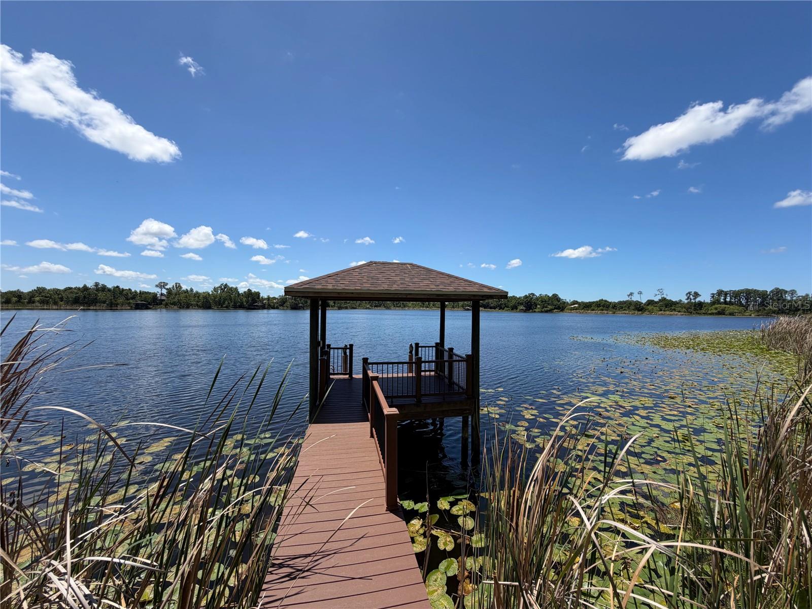 21430 DRAYCOTT WAY, LAND O LAKES, FL, 34637