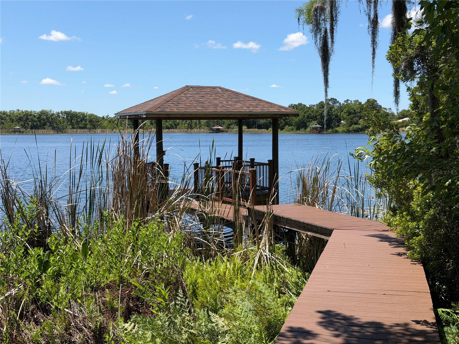 21430 DRAYCOTT WAY, LAND O LAKES, FL, 34637