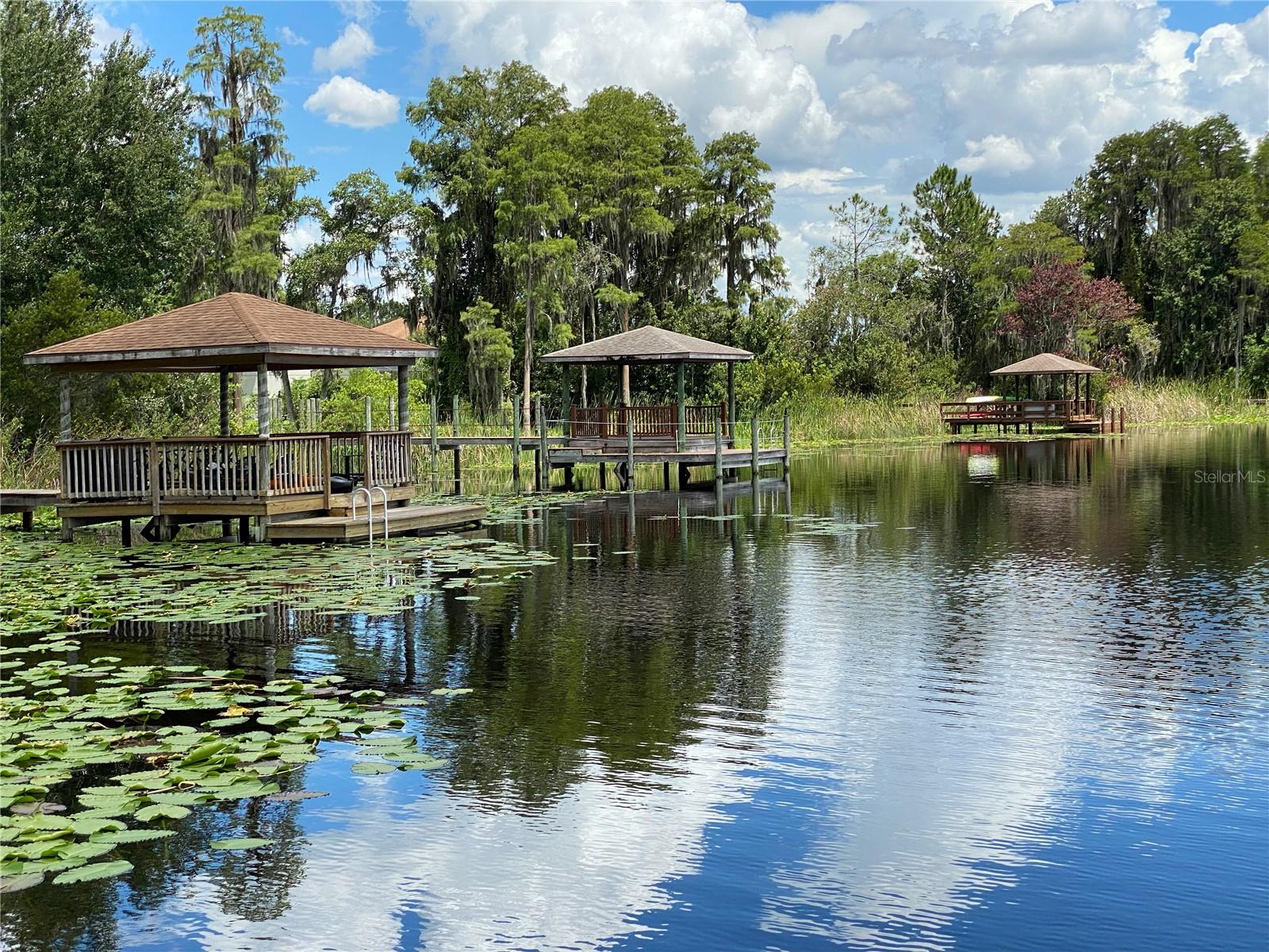 21430 DRAYCOTT WAY, LAND O LAKES, FL, 34637