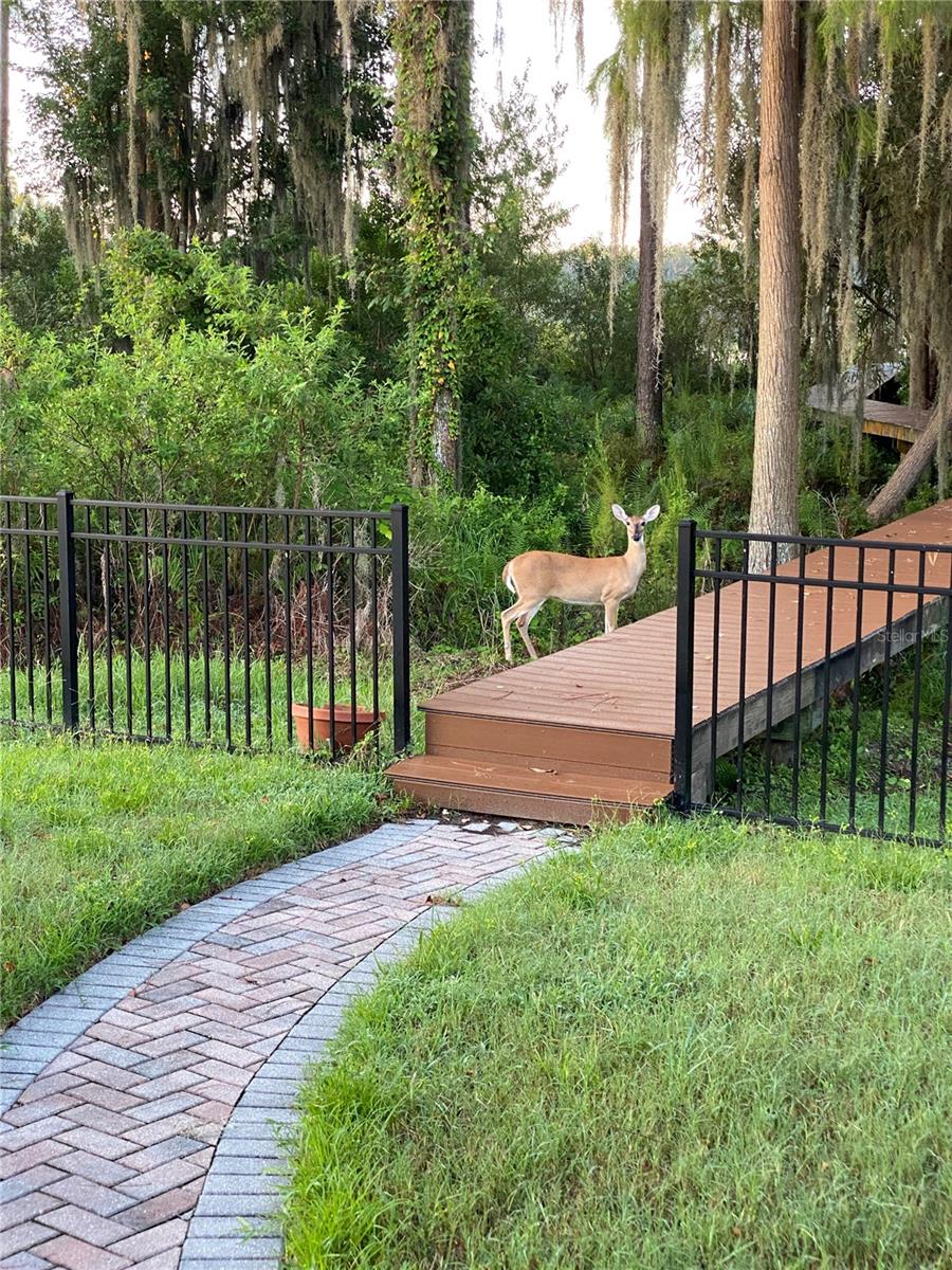 21430 DRAYCOTT WAY, LAND O LAKES, FL, 34637