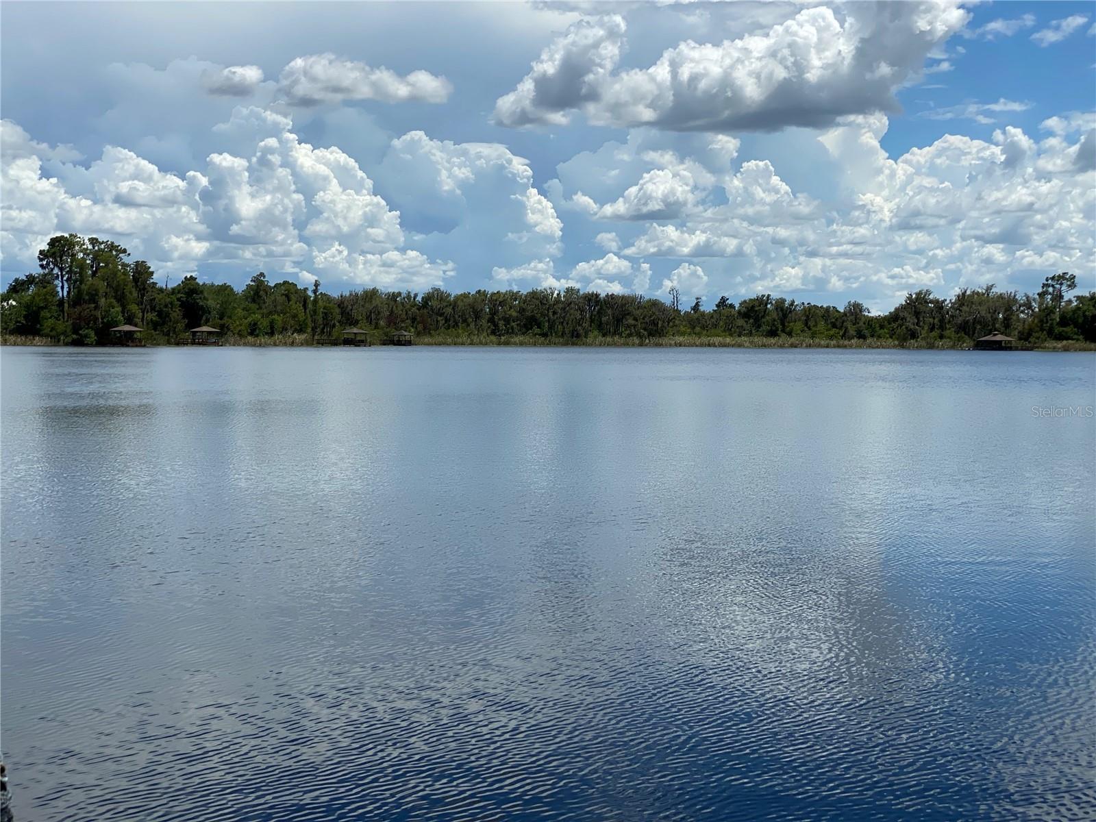 21430 DRAYCOTT WAY, LAND O LAKES, FL, 34637