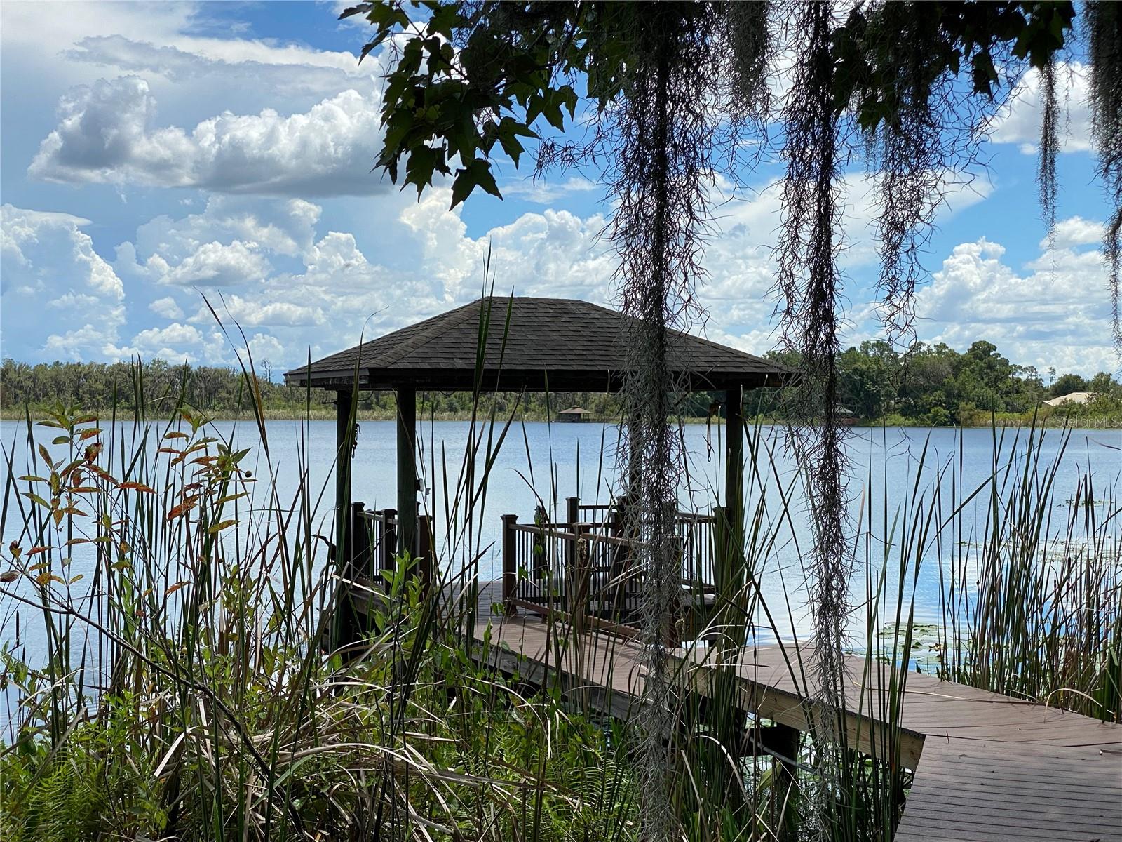 21430 DRAYCOTT WAY, LAND O LAKES, FL, 34637
