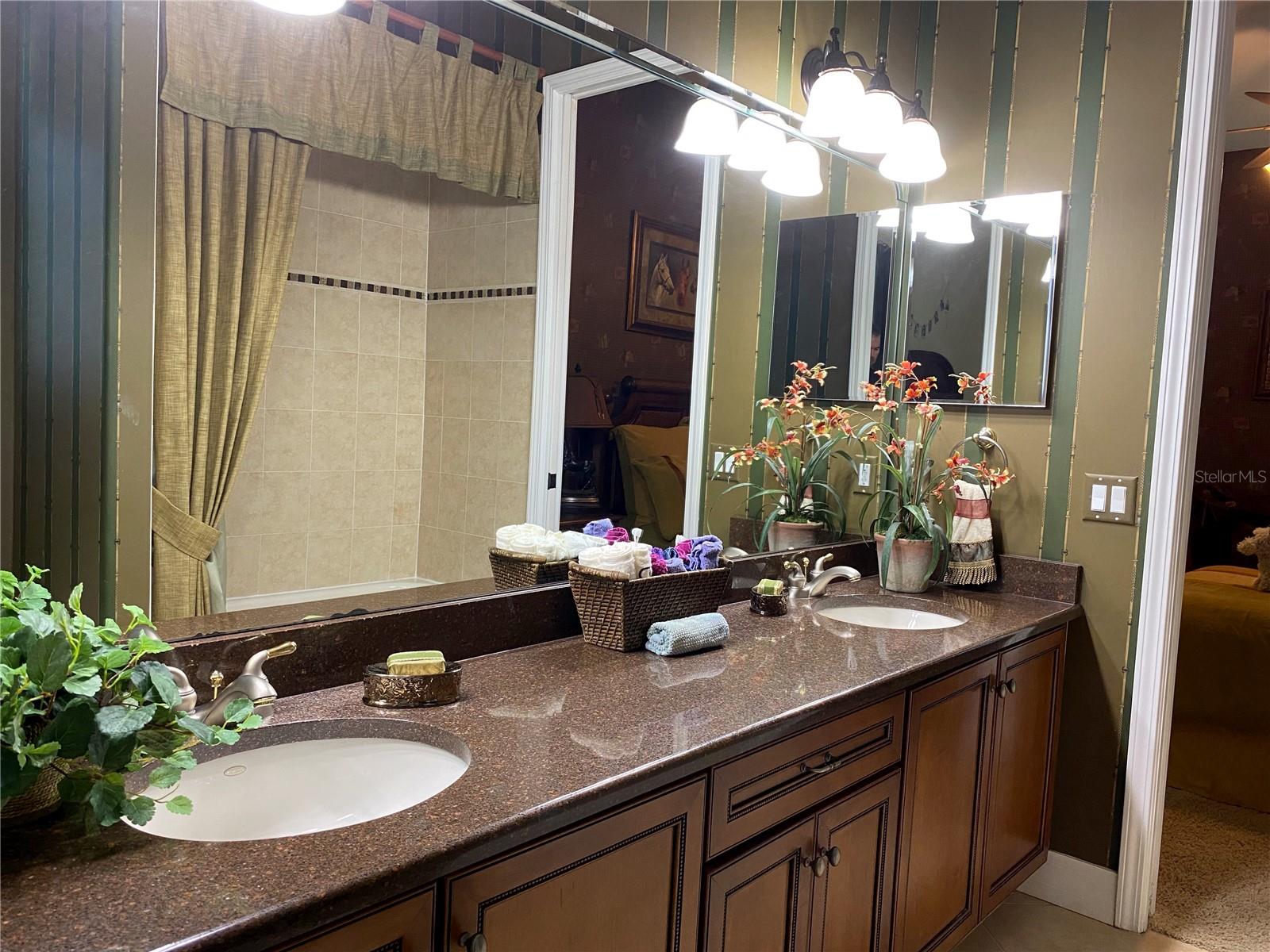 21430 DRAYCOTT WAY, LAND O LAKES, FL, 34637