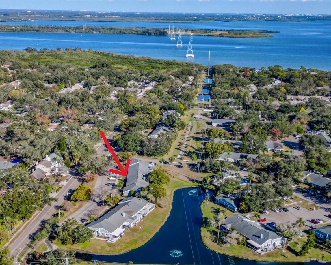 52 BRIGTON CT, SAFETY HARBOR, FL, 34695