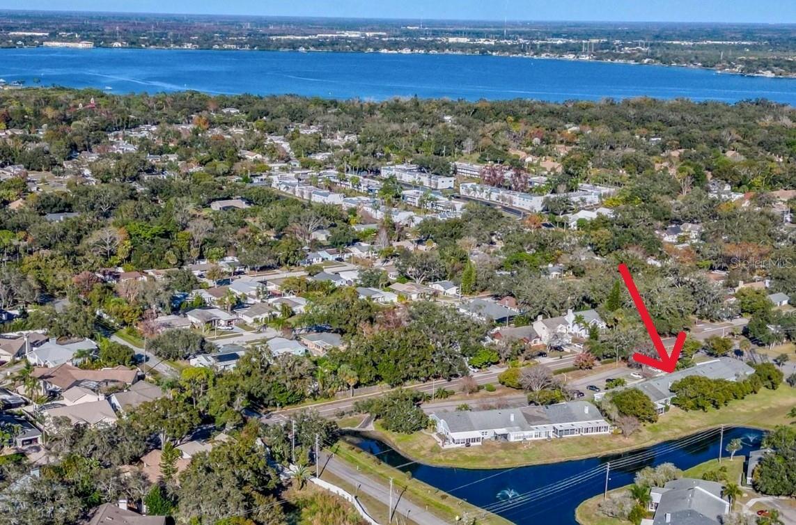 52 BRIGTON CT, SAFETY HARBOR, FL, 34695