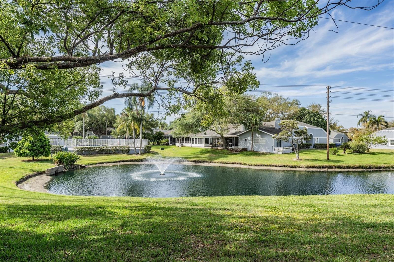 52 BRIGTON CT, SAFETY HARBOR, FL, 34695