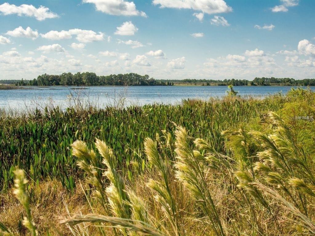 16067 PEBBLE BLUFF LOOP, WINTER GARDEN, FL, 34787