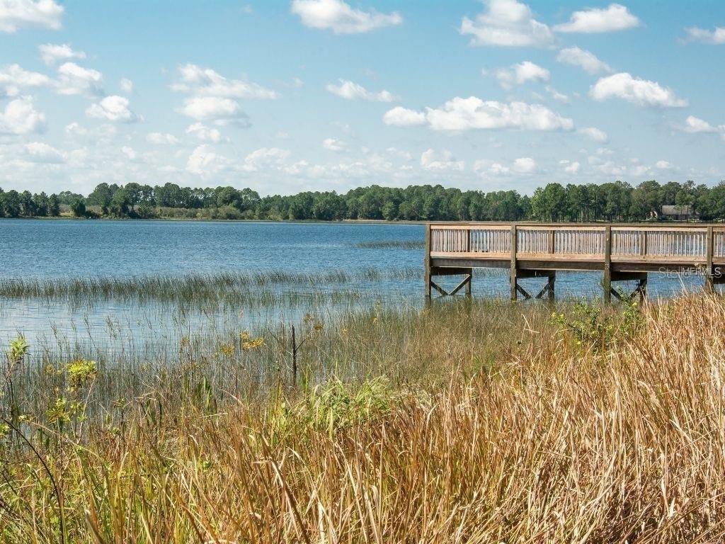 16067 PEBBLE BLUFF LOOP, WINTER GARDEN, FL, 34787