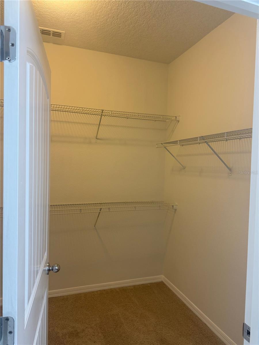 16067 PEBBLE BLUFF LOOP, WINTER GARDEN, FL, 34787