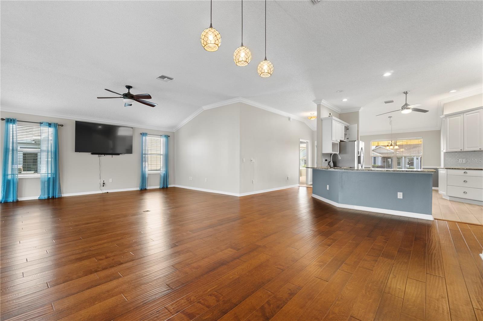 589 SHERWOOD ST, THE VILLAGES, FL, 32162