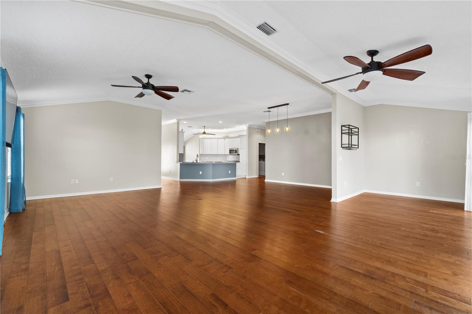 589 SHERWOOD ST, THE VILLAGES, FL, 32162