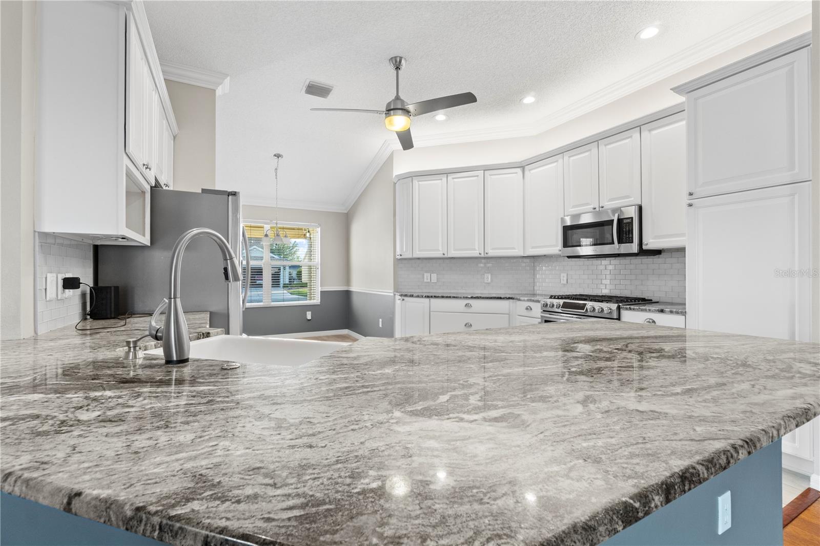 589 SHERWOOD ST, THE VILLAGES, FL, 32162