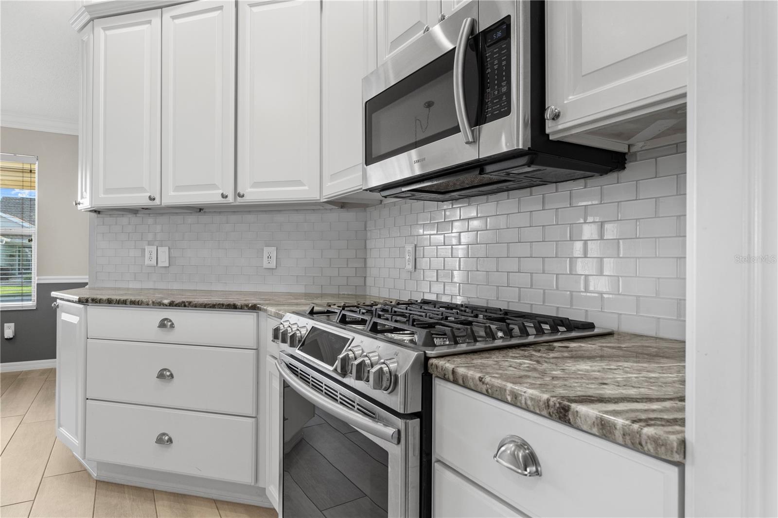 589 SHERWOOD ST, THE VILLAGES, FL, 32162