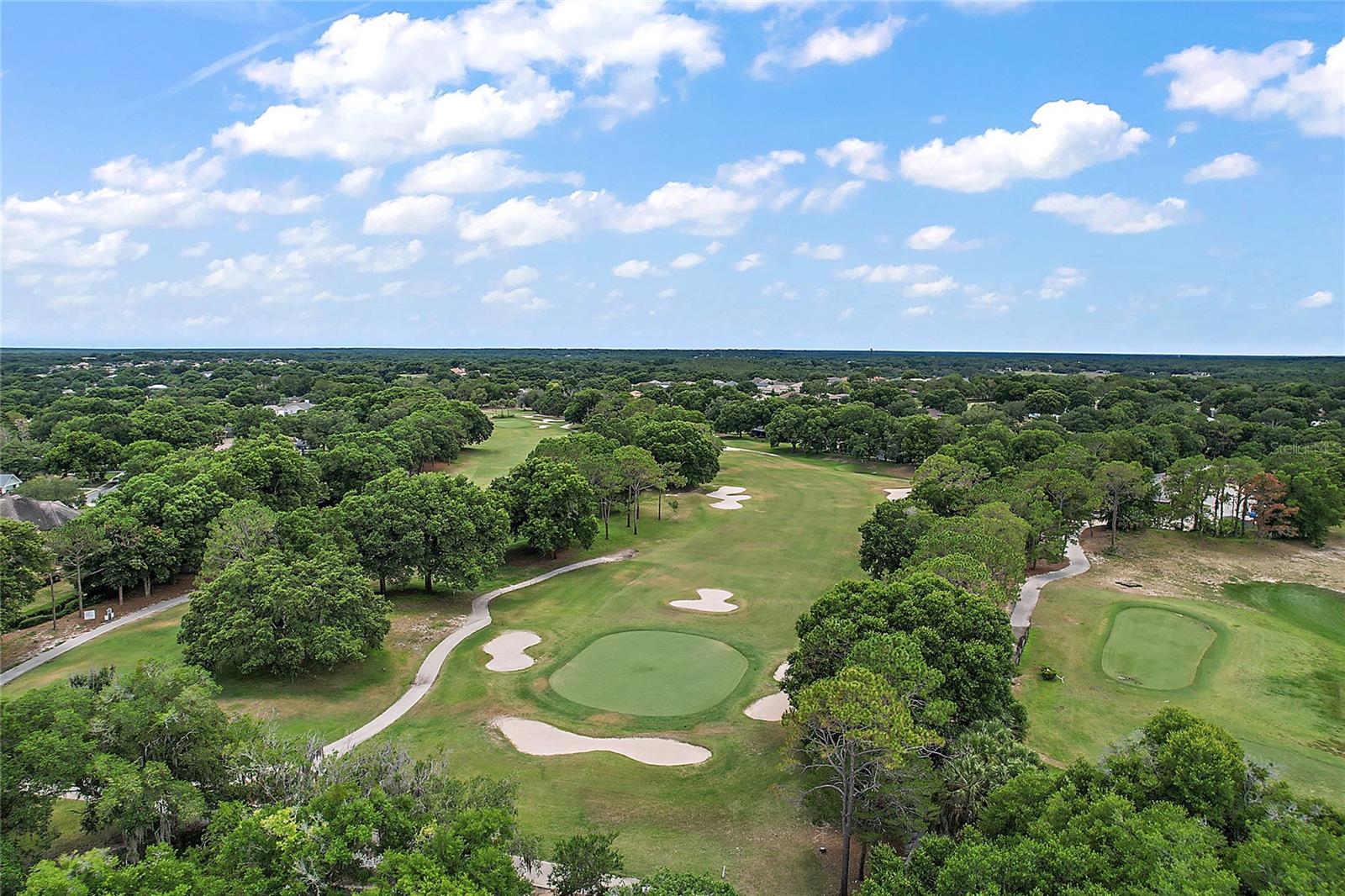 6020 TOPSAIL RD, LADY LAKE, FL, 32159