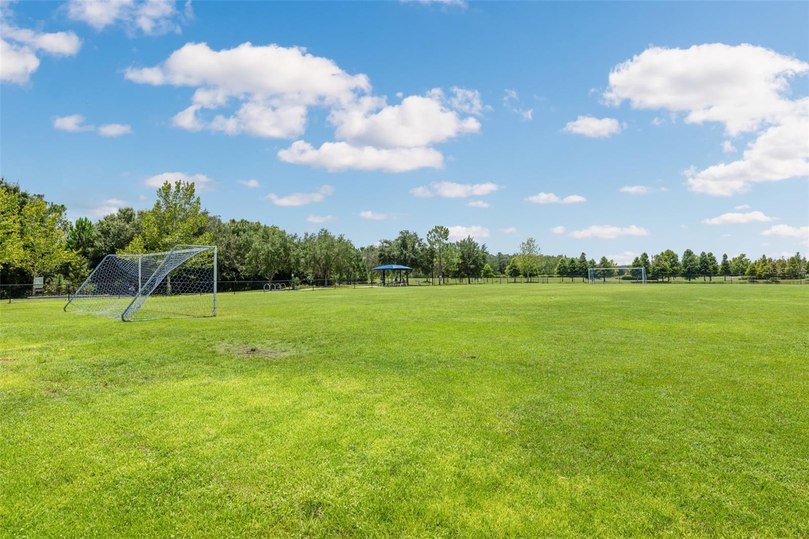 17974 RAMBLE ON WAY, LAND O LAKES, FL, 34638