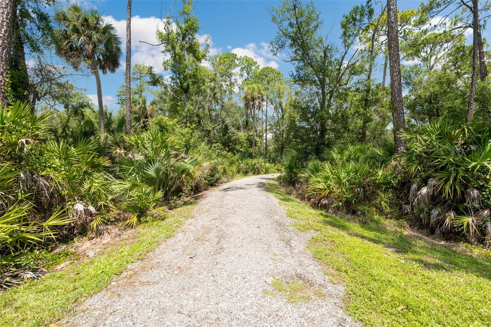 17974 RAMBLE ON WAY, LAND O LAKES, FL, 34638