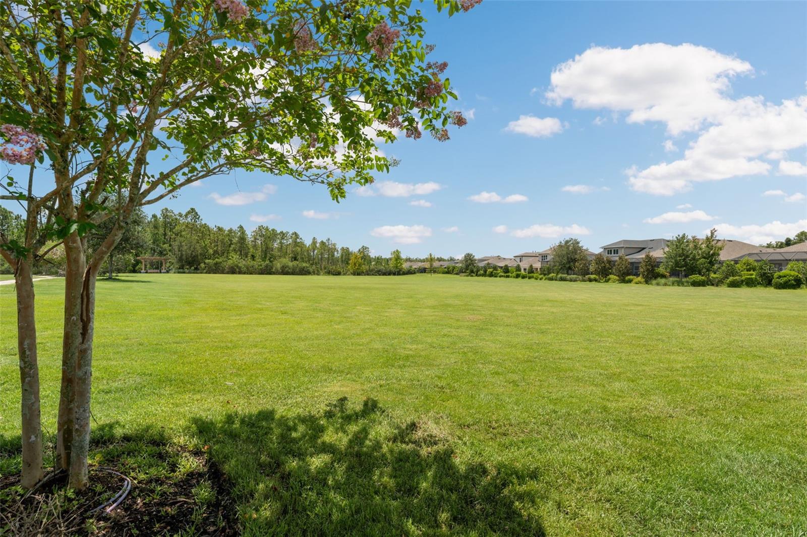 17974 RAMBLE ON WAY, LAND O LAKES, FL, 34638