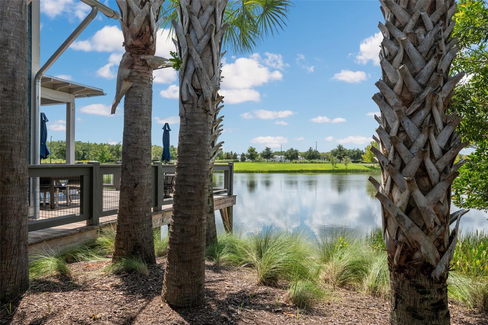 17974 RAMBLE ON WAY, LAND O LAKES, FL, 34638