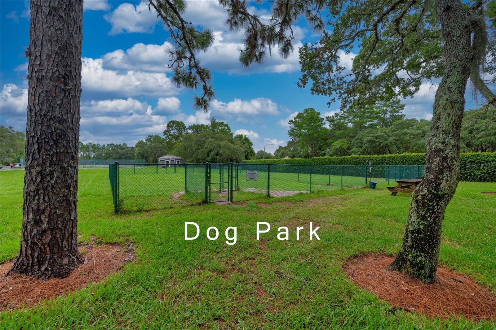 9020 PENELOPE DR, WEEKI WACHEE, FL, 34613