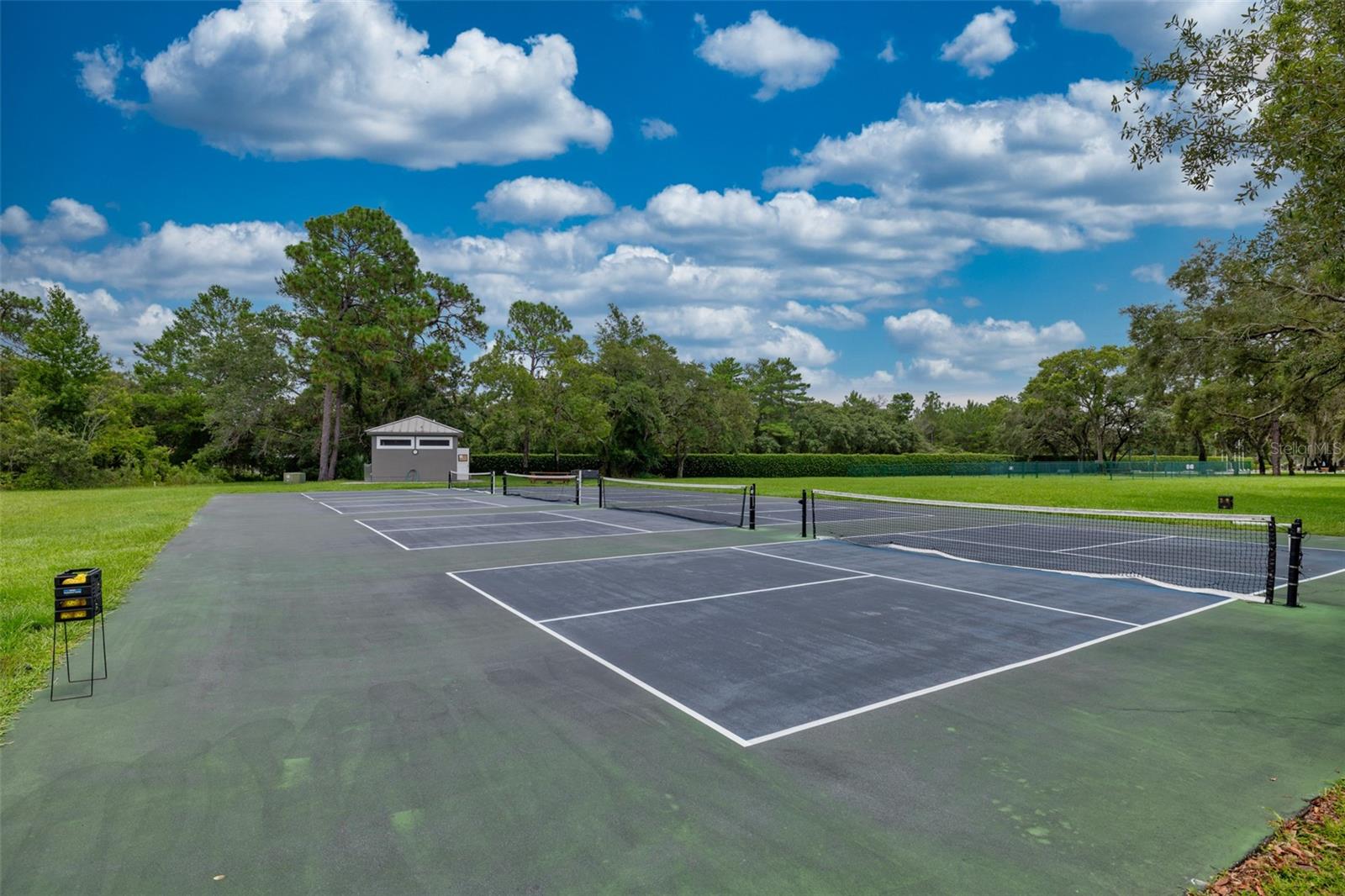 9020 PENELOPE DR, WEEKI WACHEE, FL, 34613