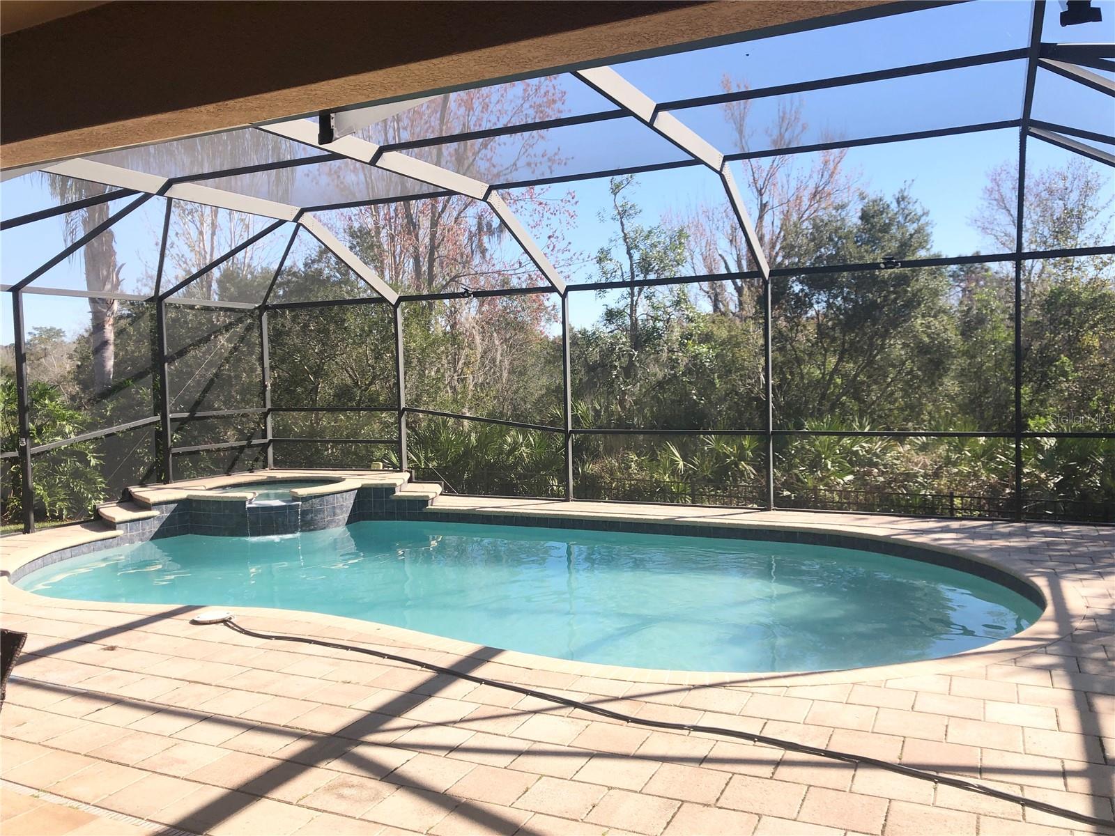 19125 SWEET CLOVER LN, TAMPA, FL, 33647