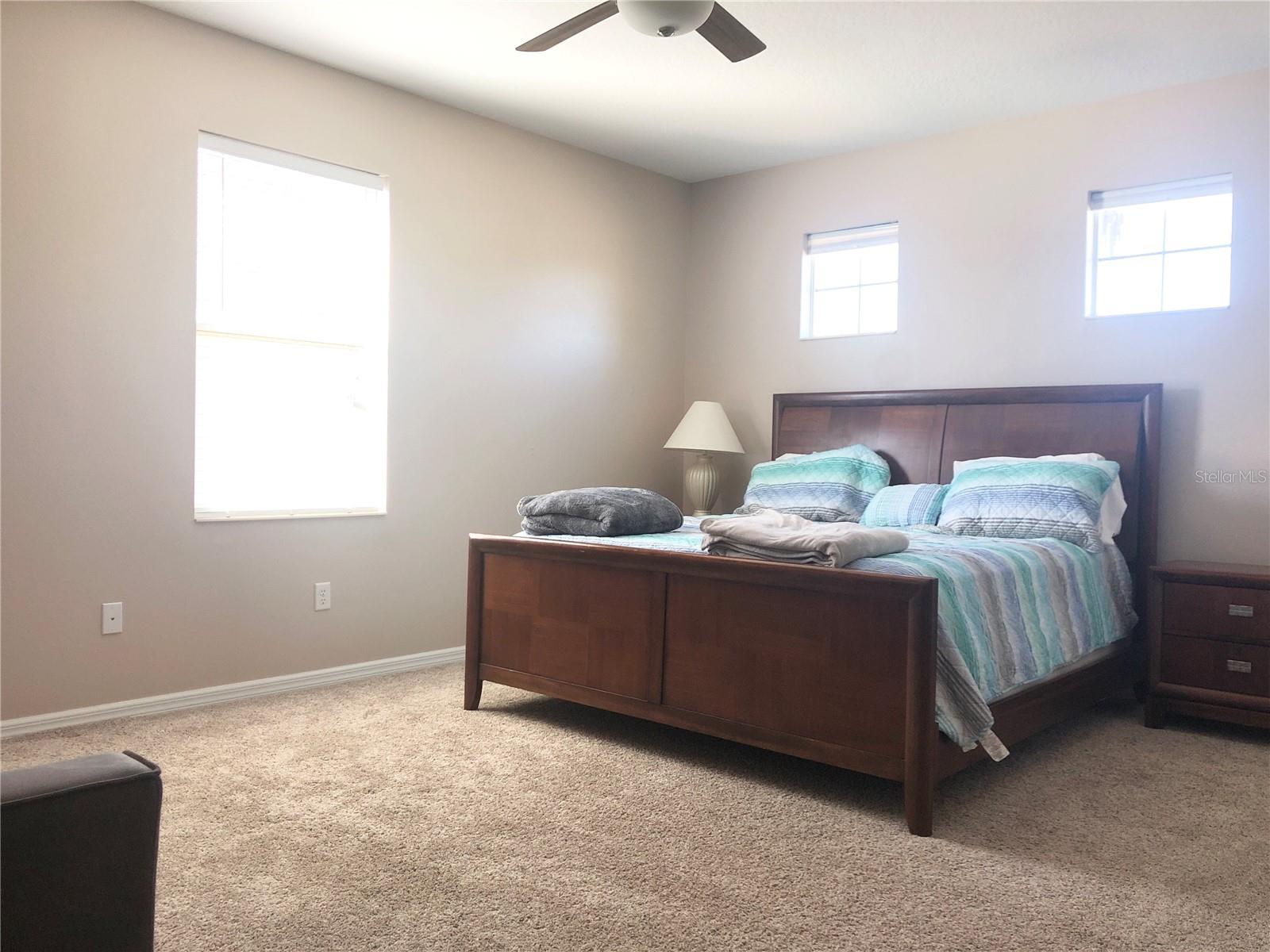 19125 SWEET CLOVER LN, TAMPA, FL, 33647