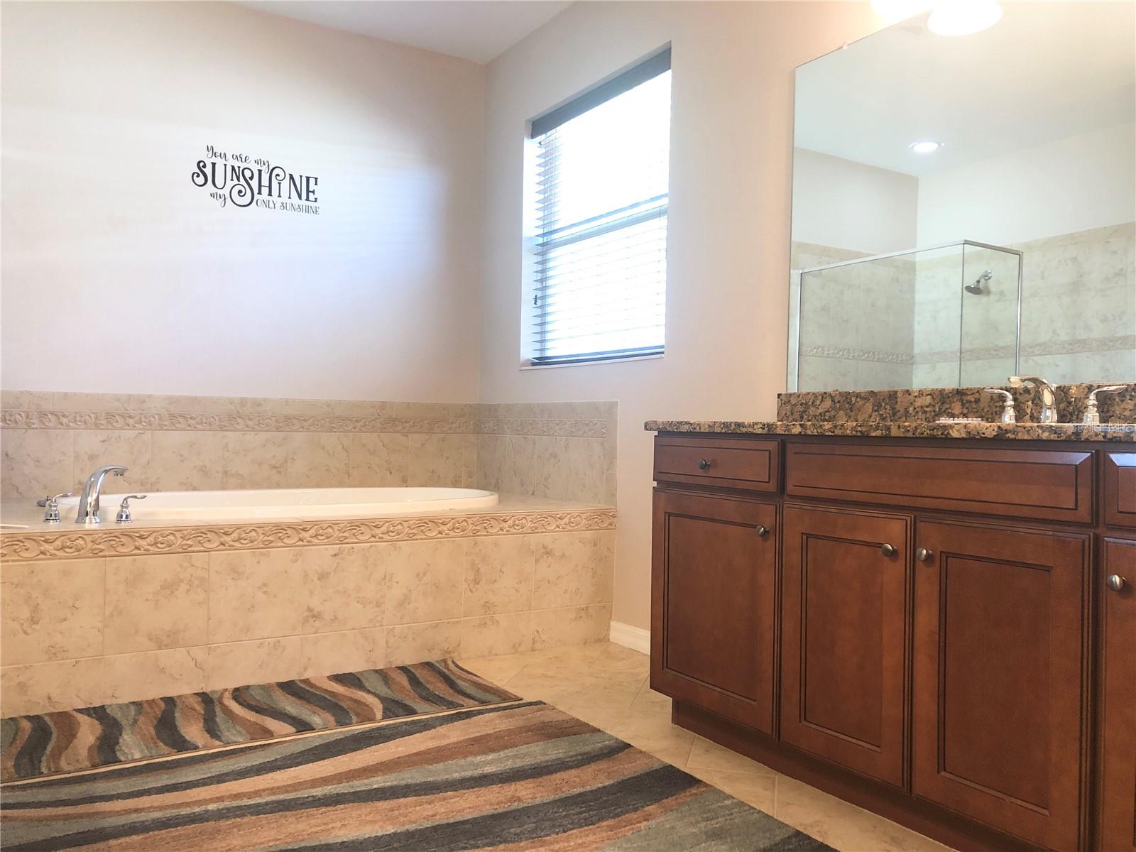 19125 SWEET CLOVER LN, TAMPA, FL, 33647