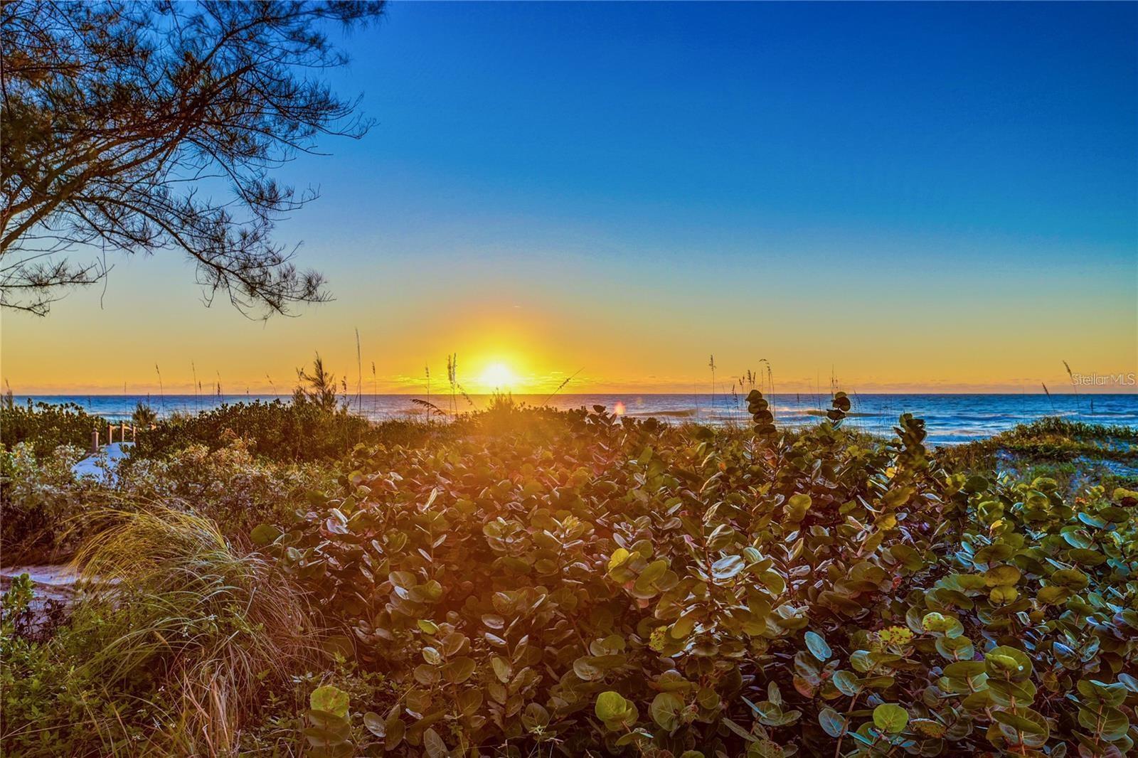 20204 GULF BLVD #4, INDIAN SHORES, FL, 33785
