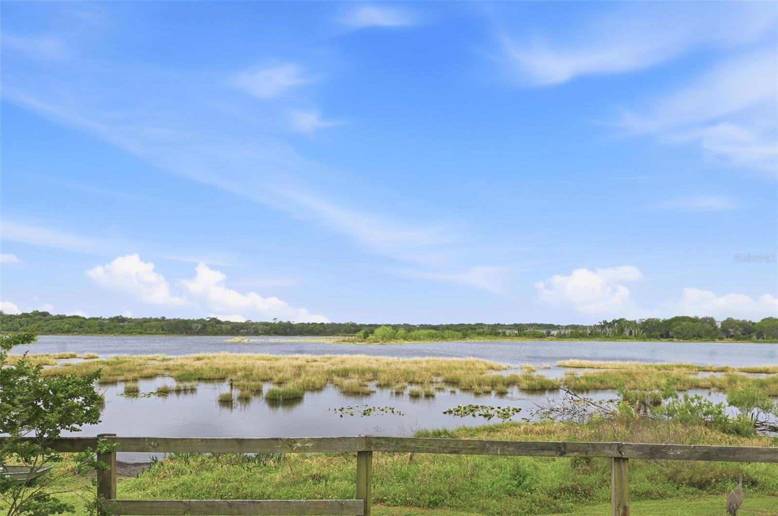 500 WITHERS CT, OCOEE, FL, 34761