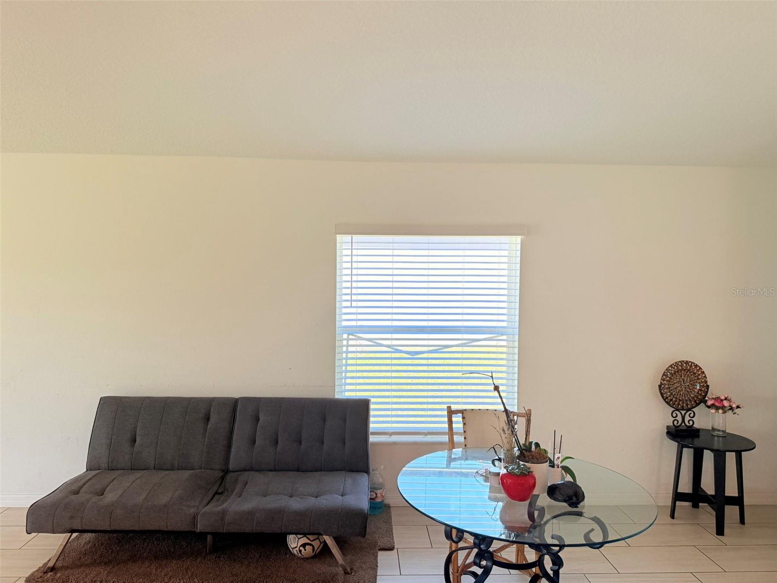 11244 LINDEN DEPOT RD, SAN ANTONIO, FL, 33576