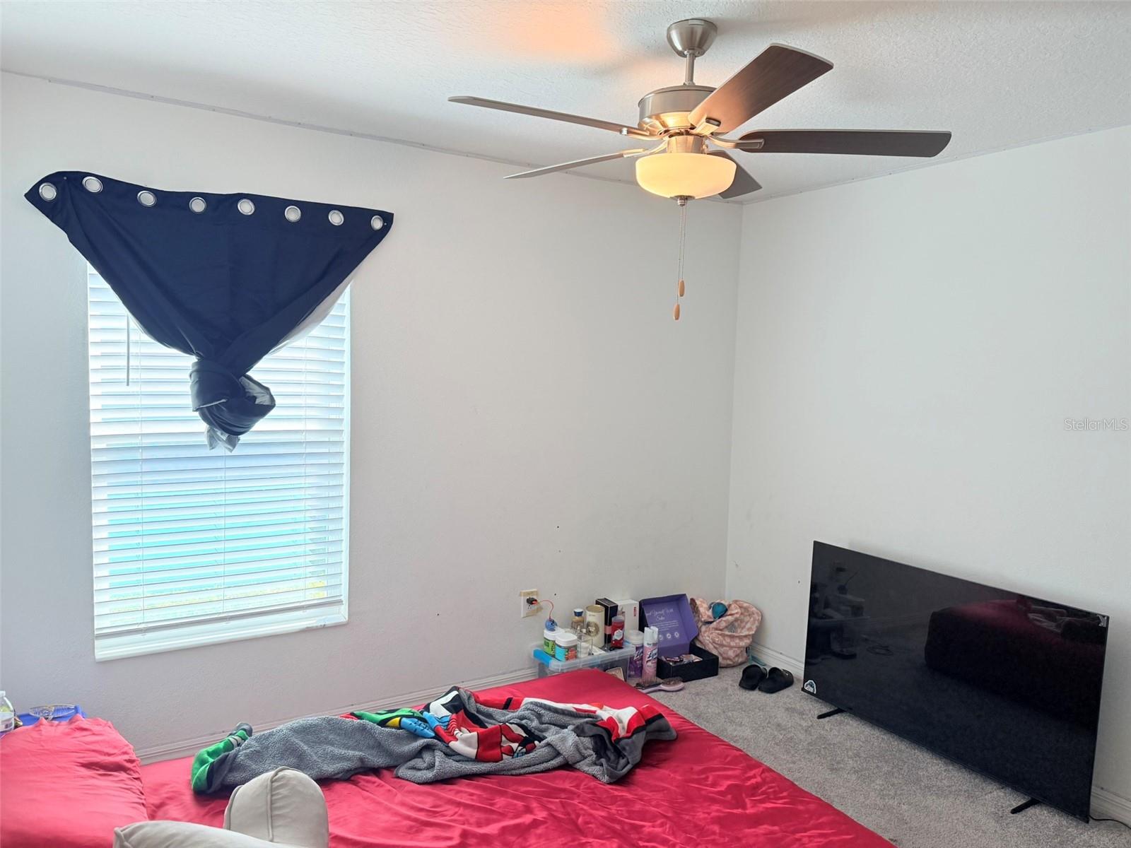 11244 LINDEN DEPOT RD, SAN ANTONIO, FL, 33576