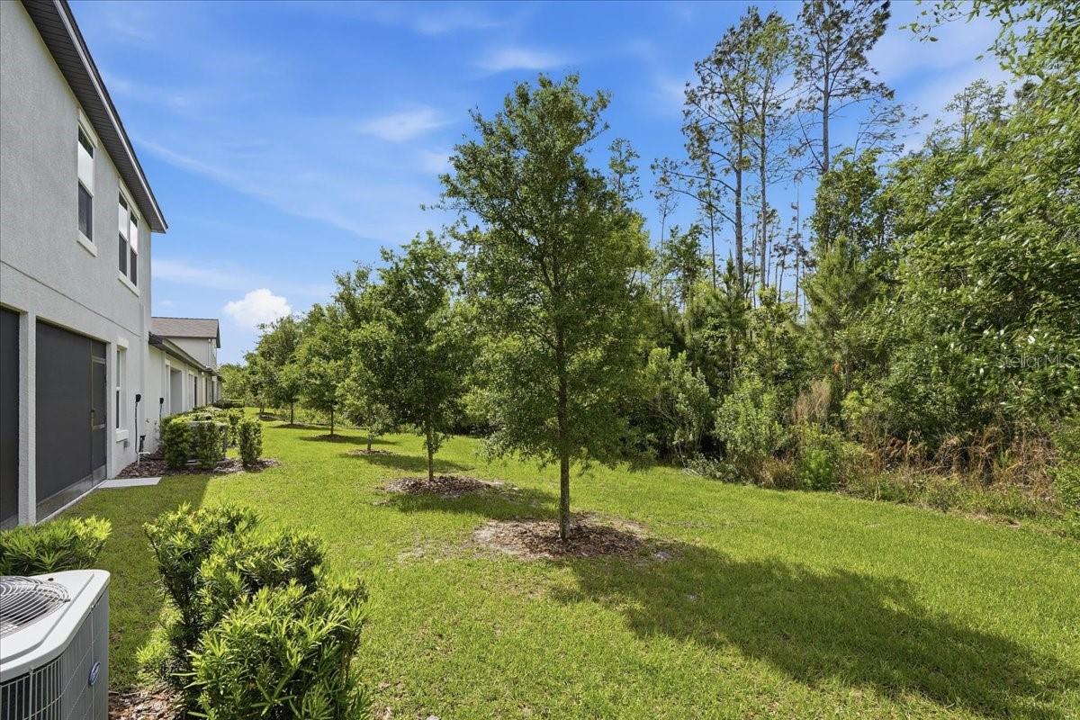 16673 SHELL BAY DR, LAND O LAKES, FL, 34638