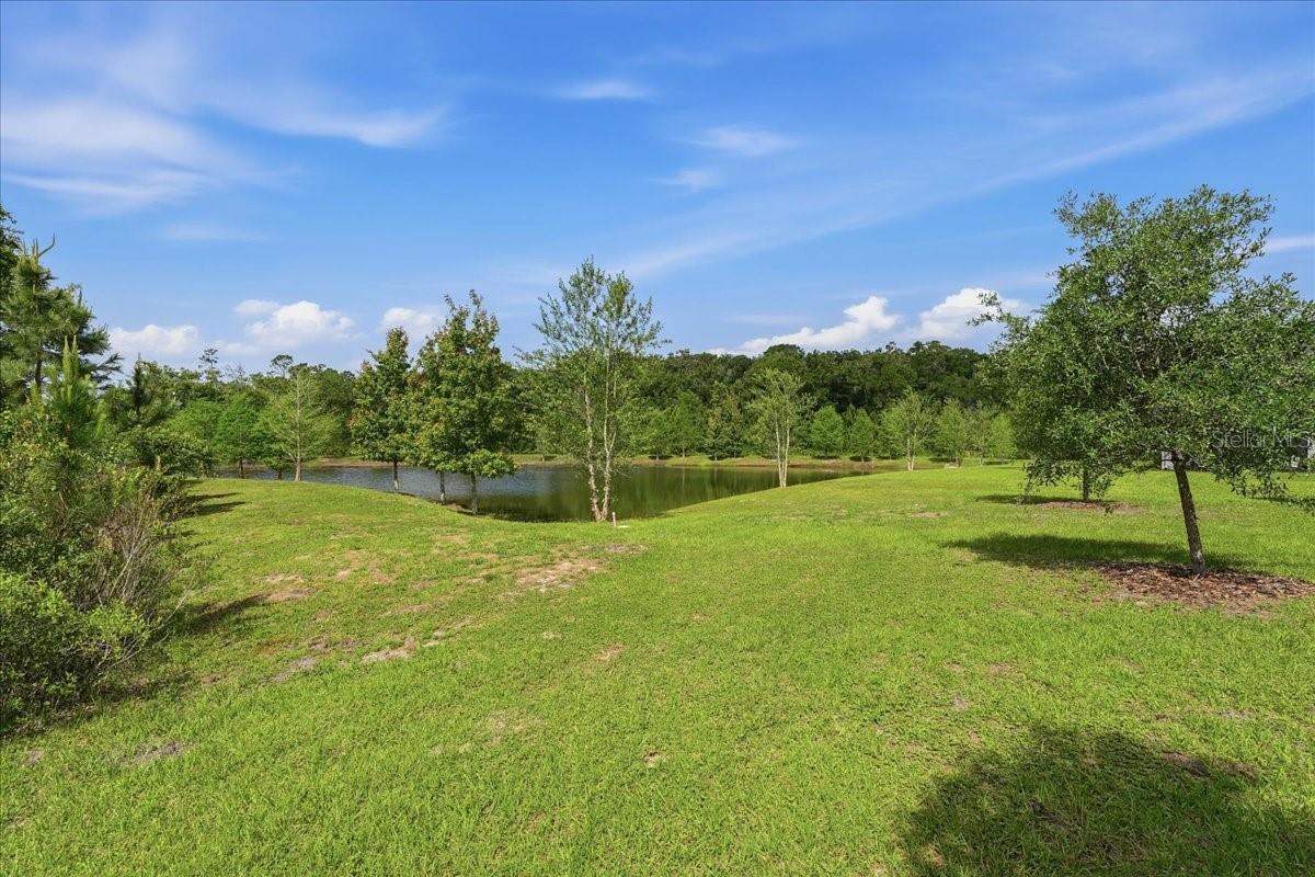 16673 SHELL BAY DR, LAND O LAKES, FL, 34638